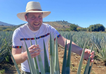 Online Deutschkurse mit Sven – mit Gratis Probestunde und Einstufung