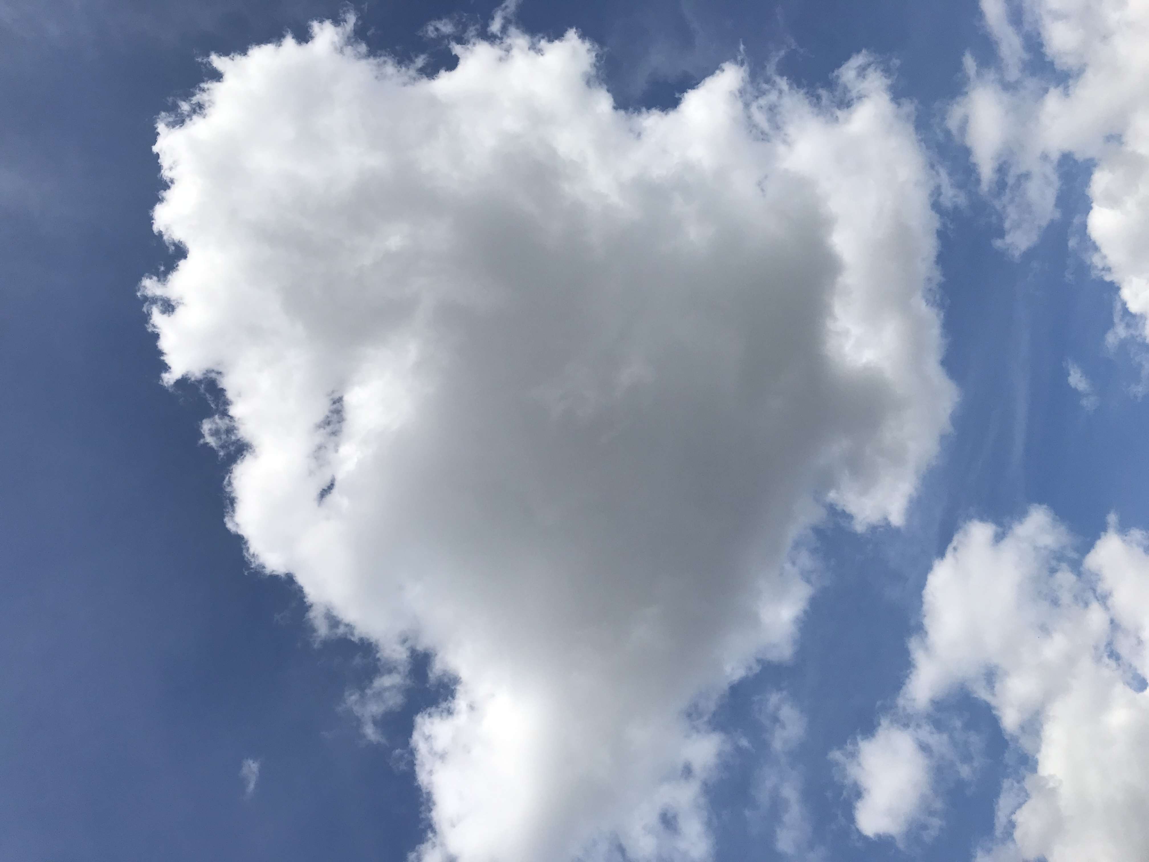 Chinesisch lernen mit Lehrerin Ran in Braunschweig