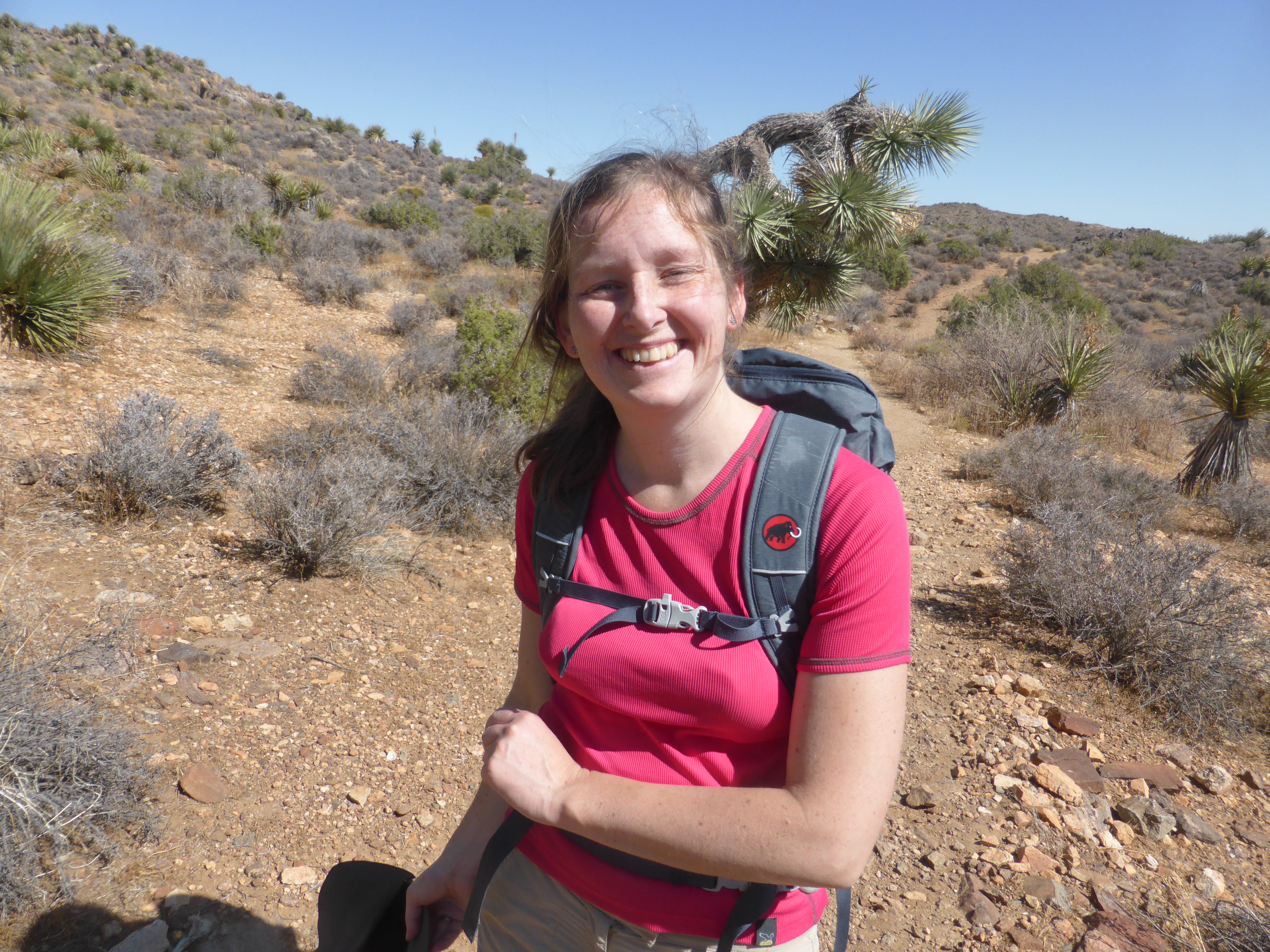 Niederländisch lernen im Privatunterricht mit Angela in Jünkerath