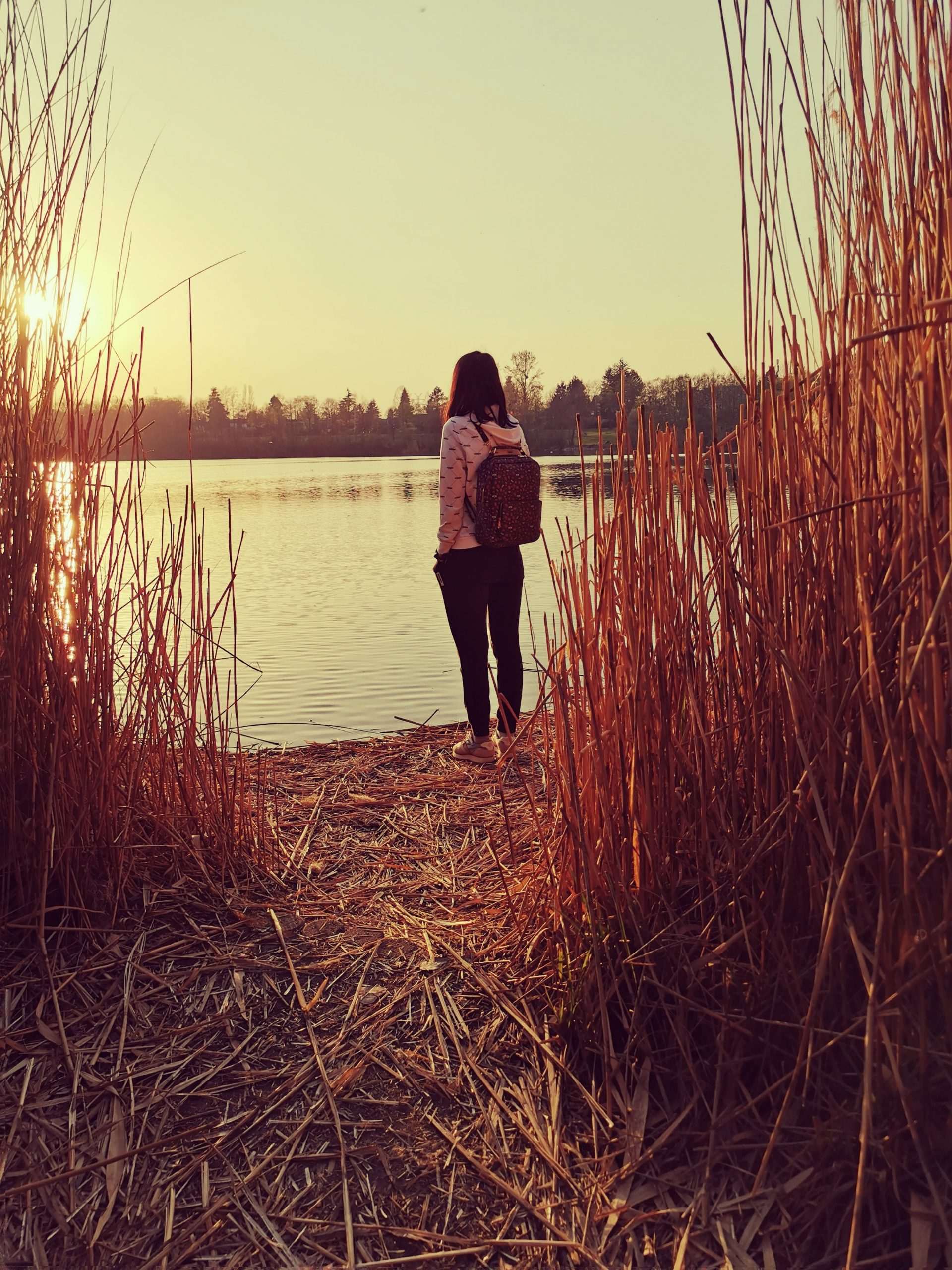 English private tutor for beginners or professionals in Mannheim