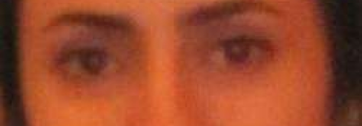 Persisch Sprachunterricht mit Neda in München