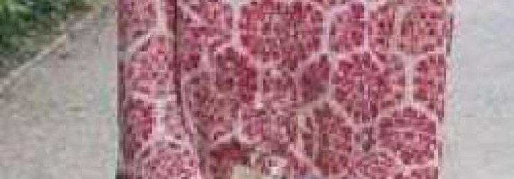 Englisch Privatunterricht mit Sibylle in München