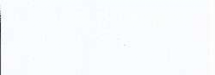 Französisch lernen mit Jennifer in Erlangen