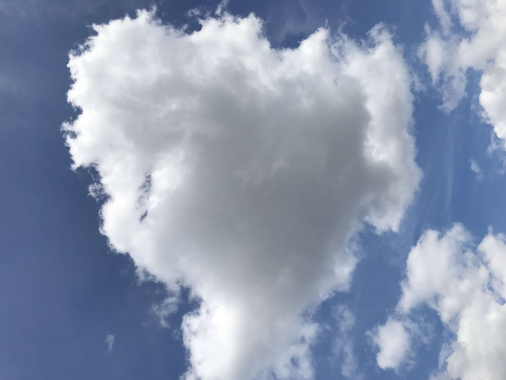 A0C05CD9 9E89 4591 BC76 9D865D143E3E