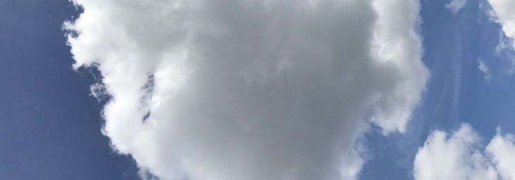 Chinesisch lernen mit Lehrerin Ran in Braunschweig