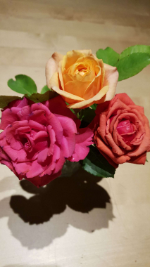 IMG 20200616 WA0001 scaled