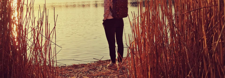 English private tutor for beginners or professionals in Mannheim