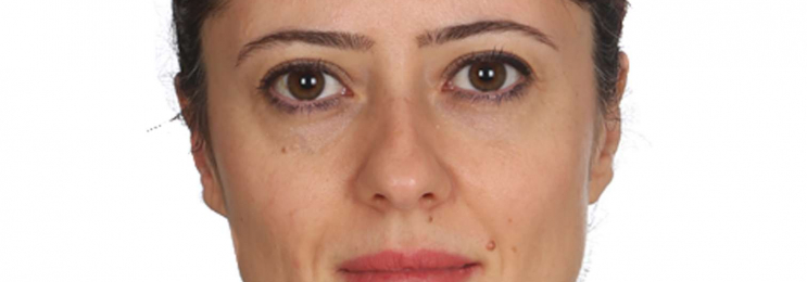 Increase your proficiency in Japanese with Sibel in Stuttgart