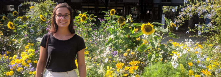 Italienisch Einzelunterricht mit Sprachleherin Sofia in Poing