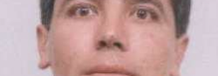 Online Bulgarisch Sprachkurse mit Plamen