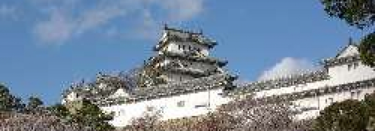 Japanisch mit Sayomi in Ludwigsburg