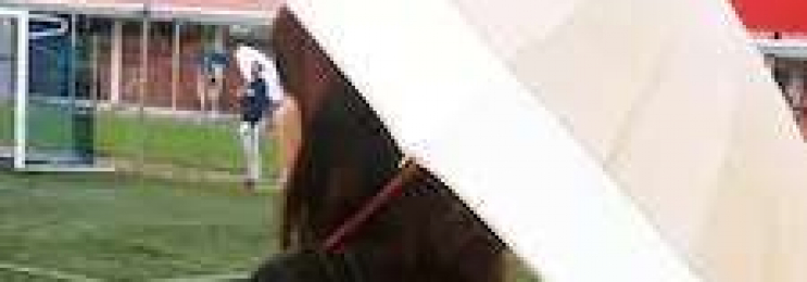 Spanisch als Fremdsprache online lernen bei Hochschulabsolventin Inma