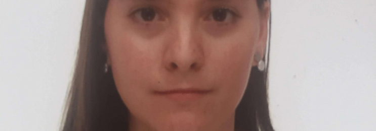 Spanisch-Unterricht mit ggf. DELE-Vorbereitung mit Silvia online